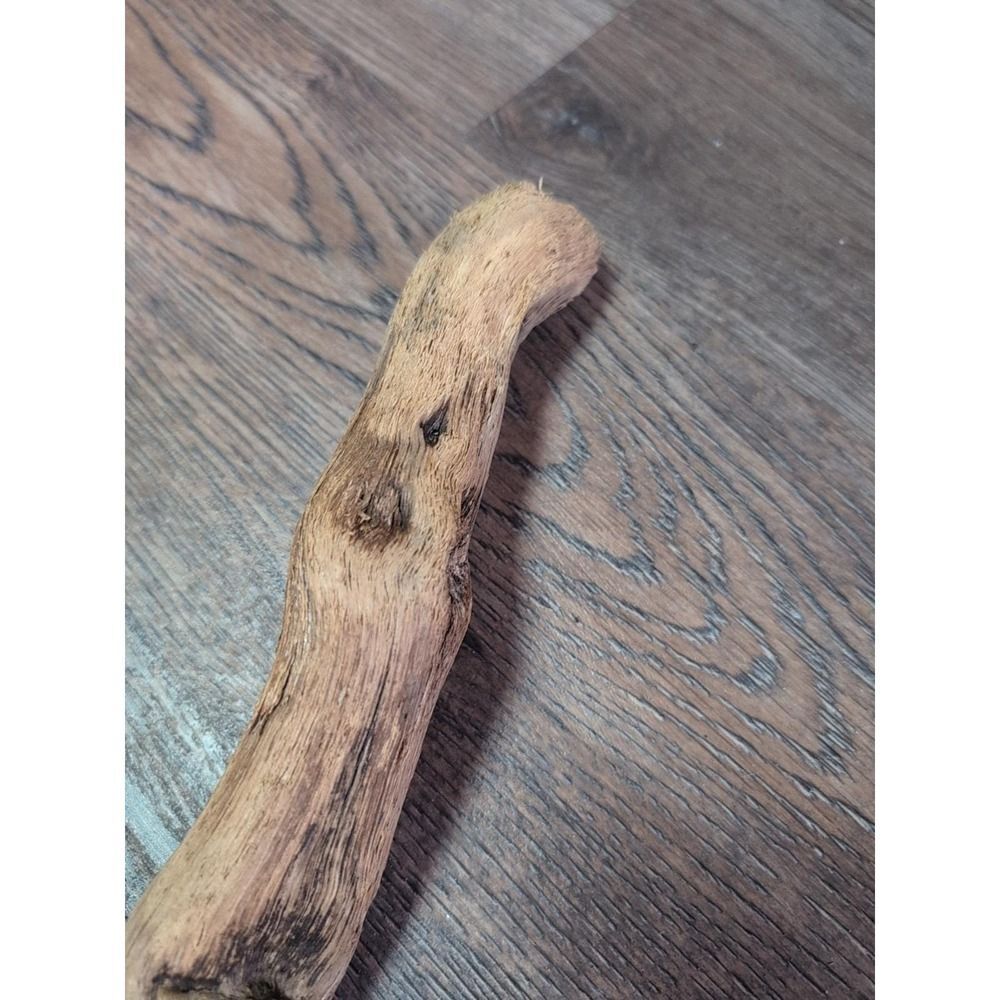 Driftwood So Cal CA Beach Ocean Wood Sculpture Art Crafts Garden Decor Lot Of 2 - Picture 6 of 15